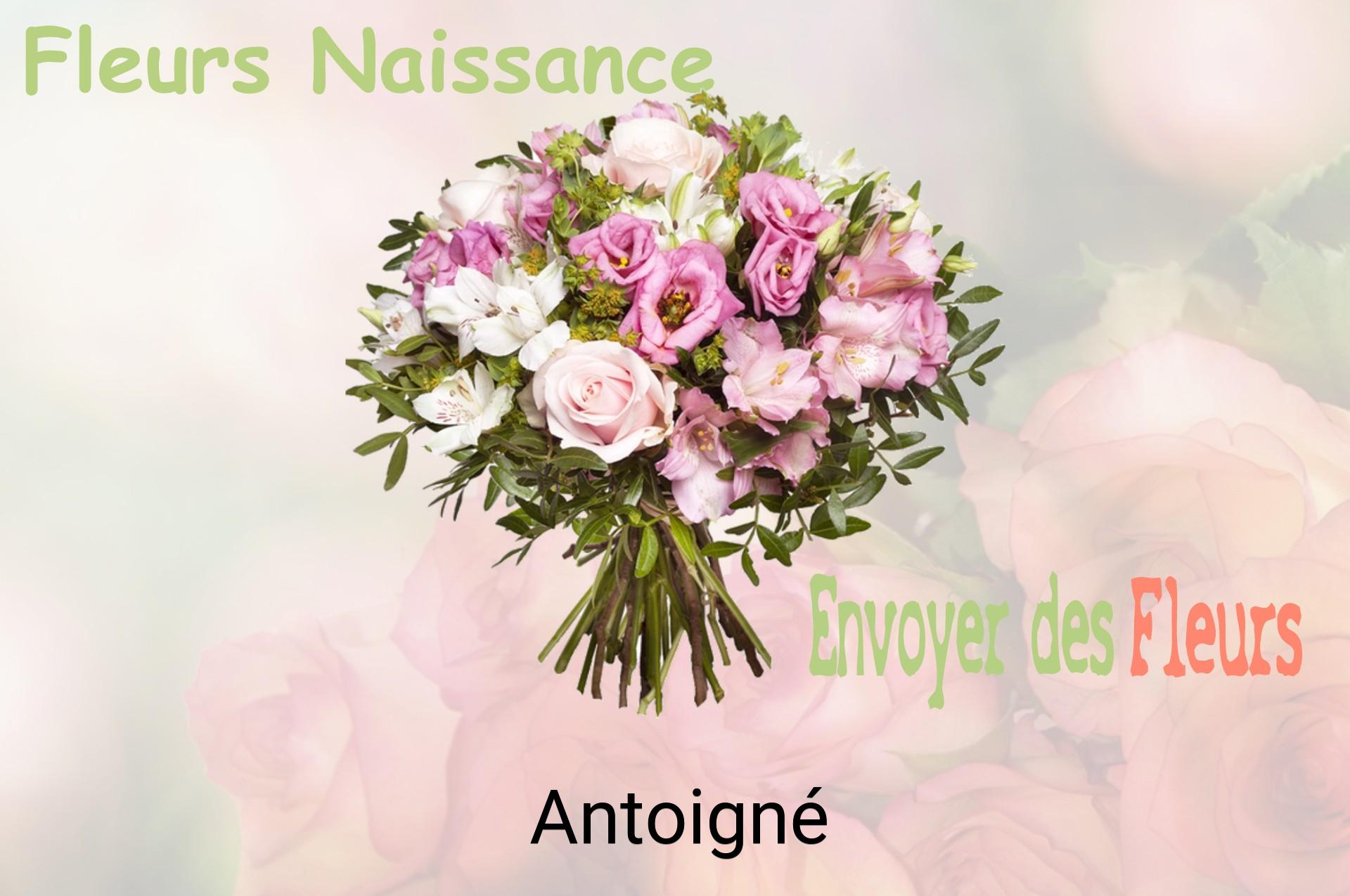 Bouquet de fleurs de naissance livré à Antoigné