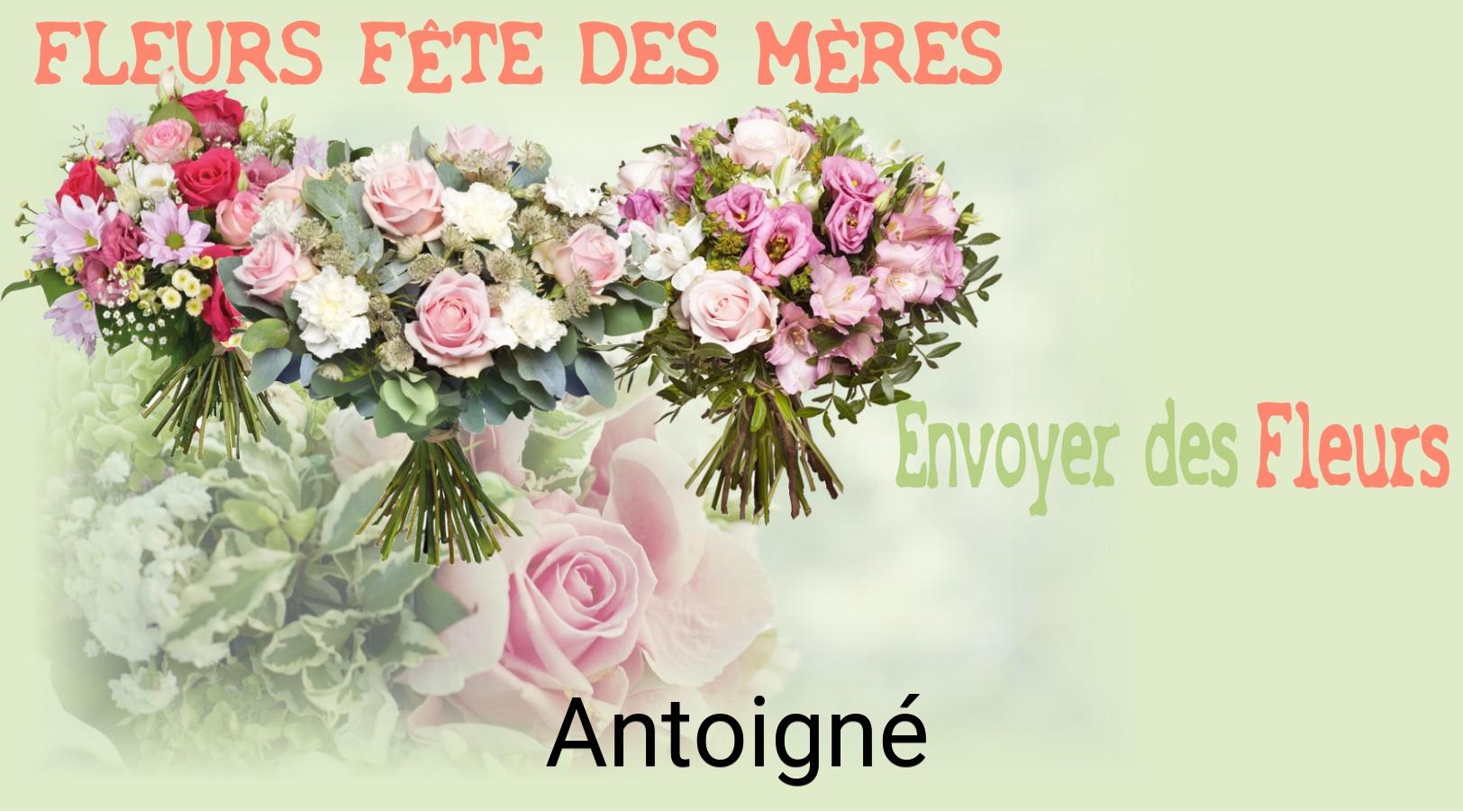 Bouquet de Fête des Mères livré à Antoigné